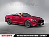 Used 2019 FORD MUSTANG ECOBOOST PREMIUM in SPRINGFIELD, VIRGINIA