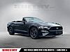 Used 2019 FORD MUSTANG ECOBOOST PREMIUM in SPRINGFIELD, VIRGINIA
