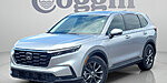 Used 2026 Honda CR-V EX-L in ST. AUGUSTINE, FLORIDA
