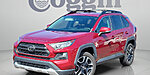 Used 2019 TOYOTA RAV4 ADVENTURE in ST. AUGUSTINE, FLORIDA