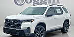 Used 2026 Honda Pilot SPORT in ST. AUGUSTINE, FLORIDA