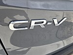Used 2025 Honda CR-V EX-L in DAVIE, FLORIDA (Photo 13)
