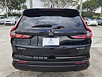 Used 2024 Honda CR-V EX-L in DAVIE, FLORIDA (Photo 4)