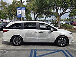 Used 2024 Honda Odyssey EX-L in DAVIE, FLORIDA (Photo 2)