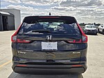 Used 2024 Honda CR-V EX in DAVIE, FLORIDA (Photo 6)