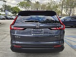 Used 2024 Honda CR-V EX-L in DAVIE, FLORIDA (Photo 6)