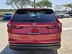 Used 2024 Honda CR-V EX-L in DAVIE, FLORIDA (Photo 6)