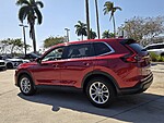Used 2024 Honda CR-V EX-L in DAVIE, FLORIDA (Photo 8)