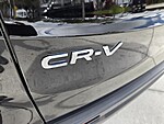 Used 2025 Honda CR-V EX-L in DAVIE, FLORIDA (Photo 13)