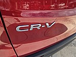 Used 2023 Honda CR-V EX-L in DAVIE, FLORIDA (Photo 13)