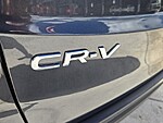 Used 2025 Honda CR-V EX-L in DAVIE, FLORIDA (Photo 13)