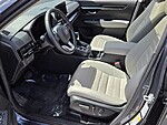 Used 2025 Honda CR-V EX-L in DAVIE, FLORIDA (Photo 10)