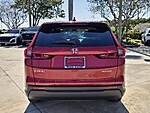 Used 2025 Honda CR-V EX-L in DAVIE, FLORIDA (Photo 6)