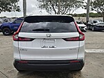 Used 2024 Honda CR-V EX-L in DAVIE, FLORIDA (Photo 6)