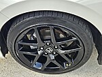 Used 2024 Honda Civic SPORT in DAVIE, FLORIDA (Photo 8)
