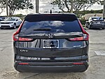 Used 2023 Honda CR-V EX-L in DAVIE, FLORIDA (Photo 6)