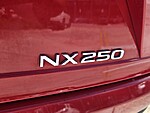 Used 2024 LEXUS NX NX 250 in DAVIE, FLORIDA (Photo 14)