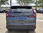 Used 2024 Honda CR-V EX-L in DAVIE, FLORIDA (Photo 6)