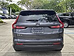 Used 2025 Honda CR-V EX-L in DAVIE, FLORIDA (Photo 6)
