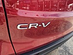 Used 2024 Honda CR-V EX-L in DAVIE, FLORIDA (Photo 14)