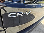 Used 2026 Honda CR-V EX in DAVIE, FLORIDA (Photo 14)
