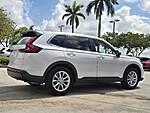 Used 2024 Honda CR-V EX-L in DAVIE, FLORIDA (Photo 7)