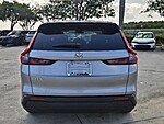 Used 2024 Honda CR-V EX-L in DAVIE, FLORIDA (Photo 6)