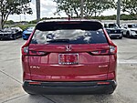 Used 2024 Honda CR-V EX in DAVIE, FLORIDA (Photo 6)