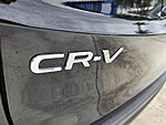 Used 2024 Honda CR-V EX-L in DAVIE, FLORIDA (Photo 14)