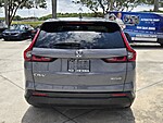 Used 2025 Honda CR-V EX-L in DAVIE, FLORIDA (Photo 6)