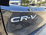 Used 2025 Honda CR-V EX-L in DAVIE, FLORIDA (Photo 11)