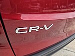 Used 2024 Honda CR-V EX-L in DAVIE, FLORIDA (Photo 13)