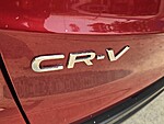 Used 2024 Honda CR-V EX-L in DAVIE, FLORIDA (Photo 13)