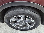 Used 2019 Honda CR-V EX-L in DAVIE, FLORIDA (Photo 7)