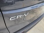 Used 2025 Honda CR-V EX-L in DAVIE, FLORIDA (Photo 13)