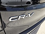 Used 2023 Honda CR-V EX-L in DAVIE, FLORIDA (Photo 13)