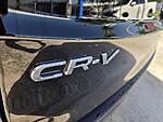 Used 2025 Honda CR-V EX-L in DAVIE, FLORIDA (Photo 13)