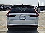 Used 2023 Honda CR-V EX in DAVIE, FLORIDA (Photo 6)