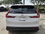 Used 2025 Honda CR-V EX-L in DAVIE, FLORIDA (Photo 6)