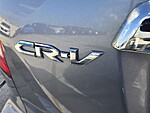 Used 2010 Honda CR-V EX-L in DAVIE, FLORIDA (Photo 11)