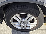 Used 2010 Honda CR-V EX-L in DAVIE, FLORIDA (Photo 5)