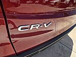 Used 2026 Honda CR-V EX in DAVIE, FLORIDA (Photo 13)