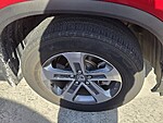 Used 2025 Honda Pilot EX-L in DAVIE, FLORIDA (Photo 7)