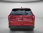 Used 2024 Honda CR-V EX-L in DAVIE, FLORIDA (Photo 6)