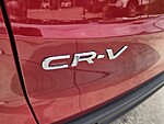 Used 2024 Honda CR-V EX-L in DAVIE, FLORIDA (Photo 13)