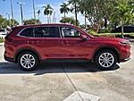 Used 2024 Honda CR-V EX-L in DAVIE, FLORIDA (Photo 3)