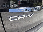 Used 2025 Honda CR-V EX-L in DAVIE, FLORIDA (Photo 14)
