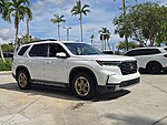 Used 2024 Honda Pilot EX-L 8 PASSENGER in DAVIE, FLORIDA (Photo 1)