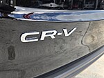 Used 2026 Honda CR-V EX in DAVIE, FLORIDA (Photo 14)