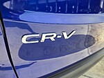 Used 2024 Honda CR-V EX-L in DAVIE, FLORIDA (Photo 14)